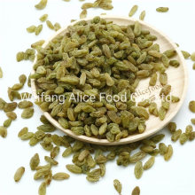 Wholesale Turban Raisins Bulk and Cheap Price Dried Green Raisins